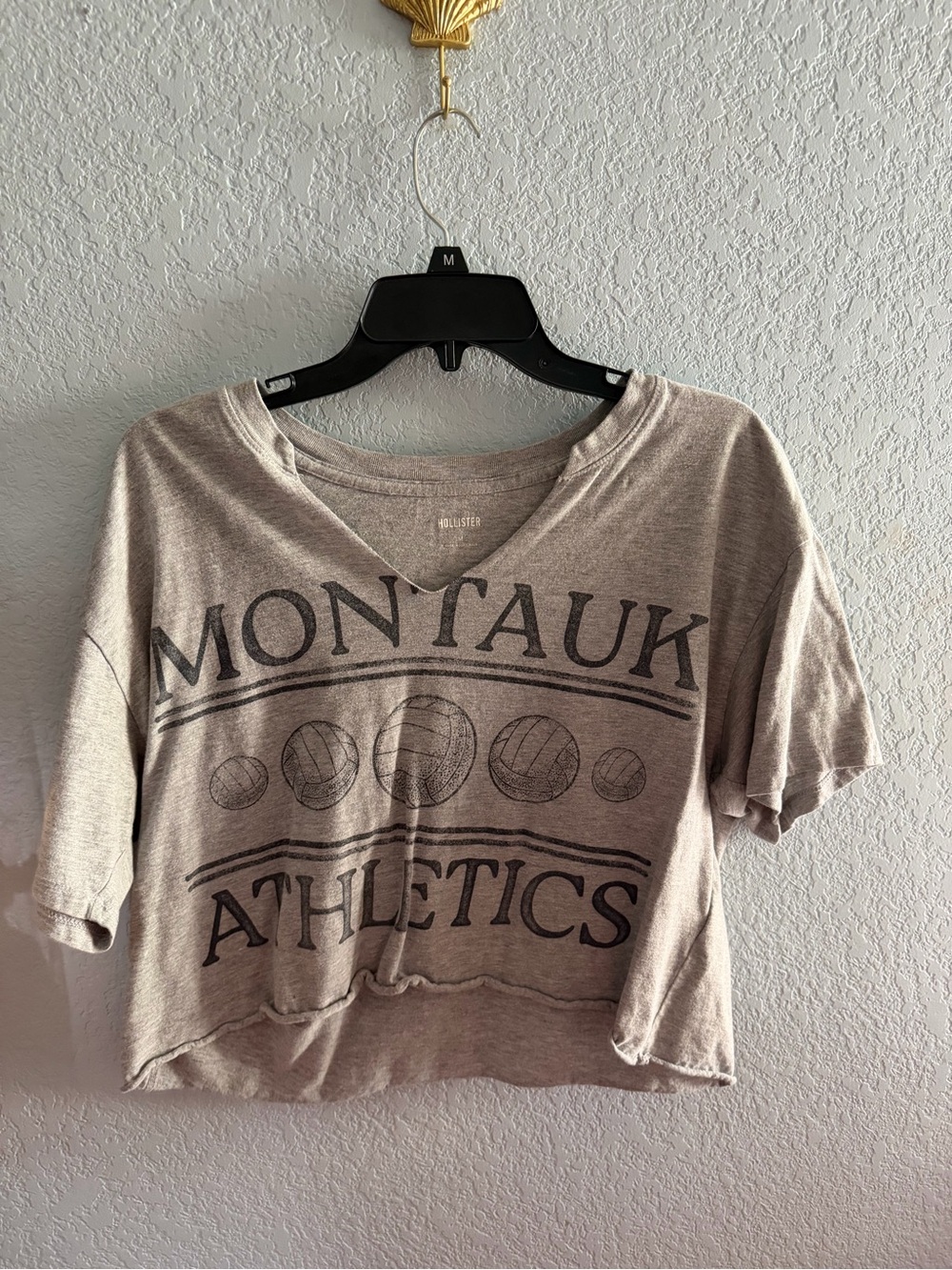 Hollister Taupe Montauk Athletics Cropped Tee